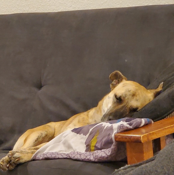 Meet your Posher, Monica - Picture 1 of 1